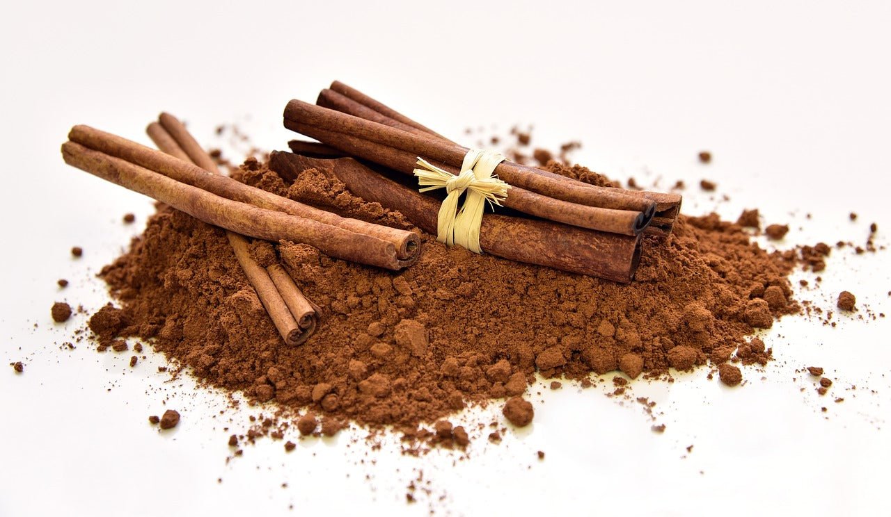Cinnamon essential oil is used in Elixir Mind Body Botanicals Support Massage + Body Oil at Elixir Mind Body Boutique