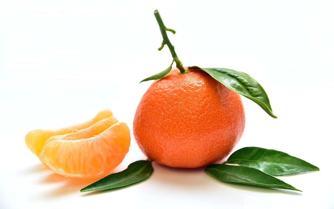 Tangerine essential oil used in Elixir Mind Body Botanicals Recover Massage + Body Oil at Elixir Mind Body Boutique