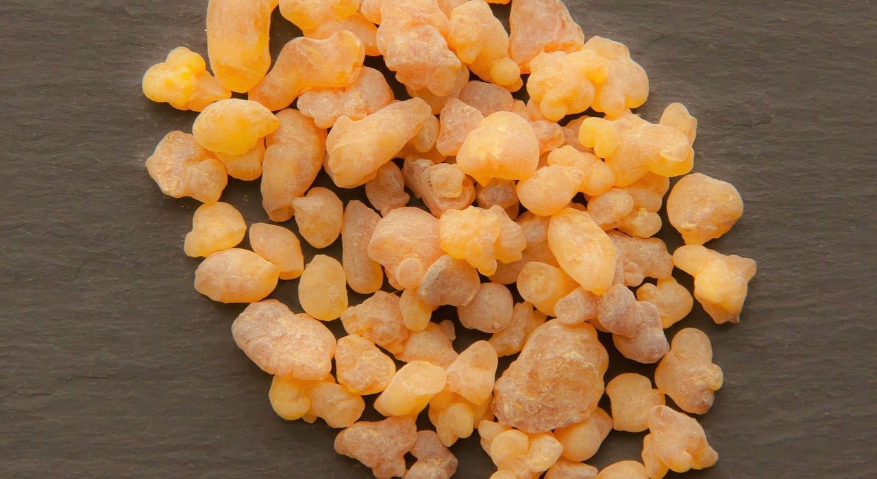 Frankincense essential oil used in Elixir Mind Body Botanicals Tranquility Massage + Body Oil at Elixir Mind Body Boutique